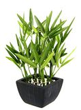 Kunstmatige Flair Flower Kunstmatige bamboeplant in kom - groen - kunststof - 23 x 16 x 16 cm