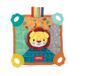 Nuby Lion Teether Plush, Multiple Surfaces, 3 Months
