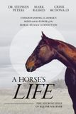 A Elk Tooth Books A Horse's Life: The Neuroscience of Equine Welfare Paperback