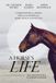 A Elk Tooth Books A Horse's Life: The Neuroscience of Equine Welfare Paperback