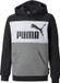 Puma Essentials+ Colorblock Fl Sweatshirt Grijs 4-5 Years Jongens