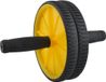 Rouleau de fitness à double roue