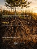Remediación de suelos contaminados — Tomo II: Tecnologías de remediación e integración operativa para la verificación del desempeño