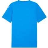 Puma Jersey Team Final Graphic