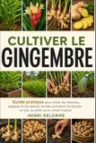 CULTIVER LE GINGEMBRE: Guide pratique pour choisir les rhizomes, préparer le sol, planter, arroser, entretenir et récolter en pot, au jardin ou en climat tropical