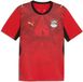PUMA Egypte 2026 Maillot extérieur homme
