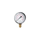 standaardmano. RIEGLER Standard Mano "Pressure Line", G 1/4, 0-2,5 bar/36 psi, Ø 50