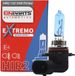Einparts Automotive Hir2 Lampe 12V 55W 6000K Extremo Pour Lampes