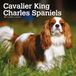 Cavalier BrownTrout Cavalier King Charles Spaniels | 2024 30 x 60 cm Monthly Square Wall Kalender