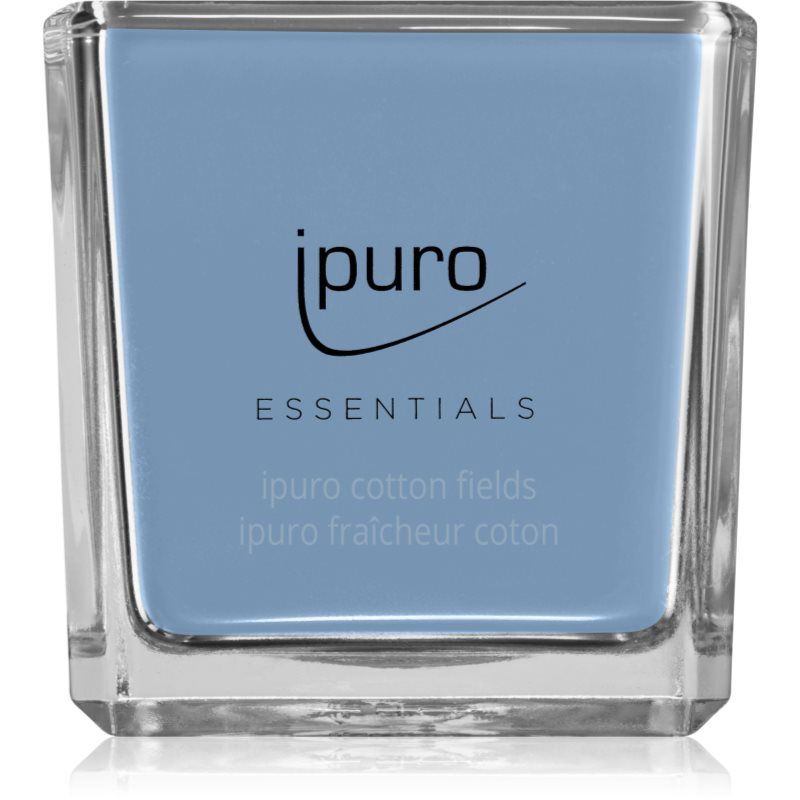 ípuro Essentials