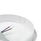WatioWave Ronde LED-wandlamp met sensor, 20 W, 4000 K, 1900 lm, IP54