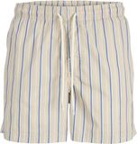 JACK&JONES JPSTMAUI DAWN WASH STRIPES SWIMSHORT REG - Jongens - Zwembroeken - Moonbeam