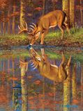 SunsOut Puzzle Was liegt unter uns? - 1000 stukjes