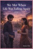 We Met When Life Was Falling Apart: A Story of Love, Career Struggles, and Finding Yourself