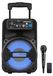 Cefa Toys Haut-parleur portable avec microphone et télécommande Groove (00358)