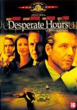 Desperate Icecat / Desperate Hours / 15.6 / 2023