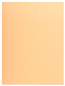 Exacompta Jura 250 - Map - Crème