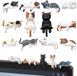 BeiJingLiangPinJiaZuoKeJiWenHuaFaZhanYouXianGongSi Set de mini figurines de chat mignon pour décoration intérieure de voiture - 12 pièces pour tableau de bord, ordinateur et bureau