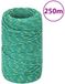 vidaXL Boottouw 2 mm 250 m polypropyleen groen