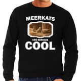 Bellatio Decorations Bol Dieren stokstaartjes sweater zwart heren - meerkats are serious cool trui - cadeau sweater stokstaartje/ stokstaartjes liefhebber XXL