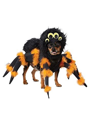 California Costume Spider Pup Hondenkostuum - XS