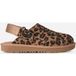 UGG® Goldenstar Spotted Clog in Brown, Maat 31