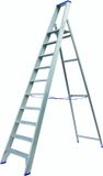 Solide Professionele Trap Type PT - 1x10 treden