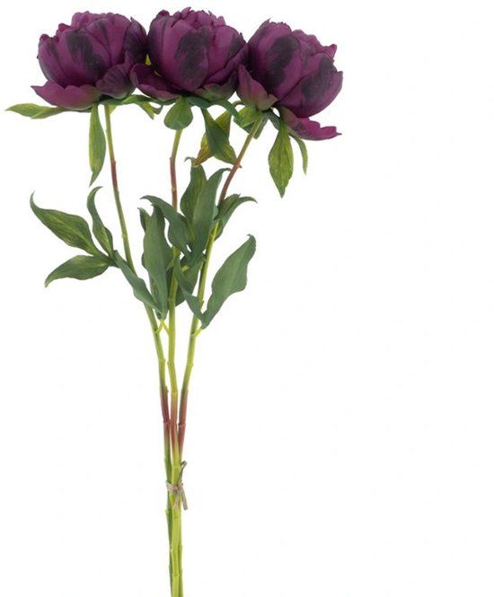 Buitengewoon Boet Kunstbloem Paeony Marlie Bundle Aubergine - 63 cm