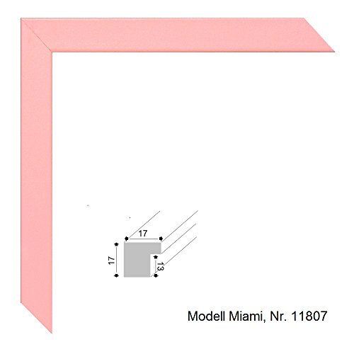 Rahmen nach Maß Lijsten op maat Miami lichtroze fotolijst, hout, 13 x 18 x 1,7 cm