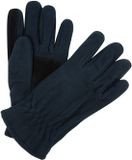 Regatta Handschoenen Heren Thermisch Wandelen Blauw Polyester S/M