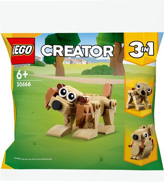 LEGO 30666 Creator 3-in-1 Cadeaudieren Polybag