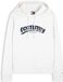 Tommy Jeans Sweat à capuche Adultes Coton S Automne/Hiver 2026