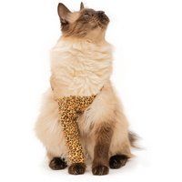 Medical Pet Shirt MPS Voorpootmouwtje Kat - Luipaard Print - XXS