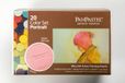 PanPastel - Portrait Set (20)