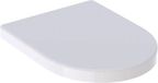 Geberit Renova Plan Hangend Toilet met Soft-close - Zonder Spoelrand - Vierkant - RVS - 5 Jaar Garantie
