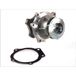 THERMOTEC D1Y033TT Pompe à eau