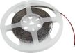 EUROLITE Bande LED 300 5m 3528 5700K 12V