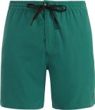 Protest PRTFilby Zwemshort Heren - Dark Teal - Effen - Regular Fit - Sneldrogend - Polyester