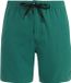 Protest PRTFilby Zwemshort Heren - Dark Teal - Effen - Regular Fit - Sneldrogend - Polyester