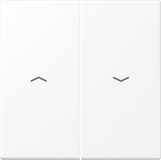 LS Jung LS RANGE Bedieningselement/Centrale Plaat LS995PWWM - Wit