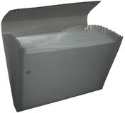 Pentel DCD14A Recycology documentenmap organizer van 50% gerecycled PP, A4, 13 vakken, zwart
