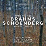 Brahms: Rubicon Classics Brahms: Piano Trio No. 1 / Schönberg: Verklarte Nacht (CD)
