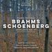 Brahms: Rubicon Classics Brahms: Piano Trio No. 1 / Schönberg: Verklarte Nacht (CD)