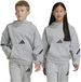 Adidas Z.N.E. Track Hoodie Gris