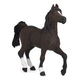 Papo - Realistische Arabier figuur - 3 jaar en ouder - Paarden collectie - Creatief spel paardenwereld - Cadeau-idee speelgoed voor meisjes en jongens