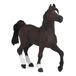 Papo - Realistische Arabier figuur - 3 jaar en ouder - Paarden collectie - Creatief spel paardenwereld - Cadeau-idee speelgoed voor meisjes en jongens
