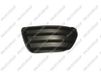 PRASCO Lüftungsgitter, Stoßfänger FT3402124 vorne links | Compatibel met: FIAT PUNTO