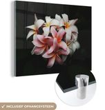 MuchoWow® Glass Painting 120x90 cm - Acrylic Glass Painting - Flowers - Pink - Black - Flora - Botanical - Photo on Glass - Paintings