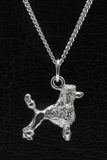 MOOYE ® - Collectie Zilveren Koningspoedel met staart ketting hanger - groot