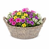 Mega Collections bloemen/plantenmand Sneek - grijs - riet - D33 x H15 cm